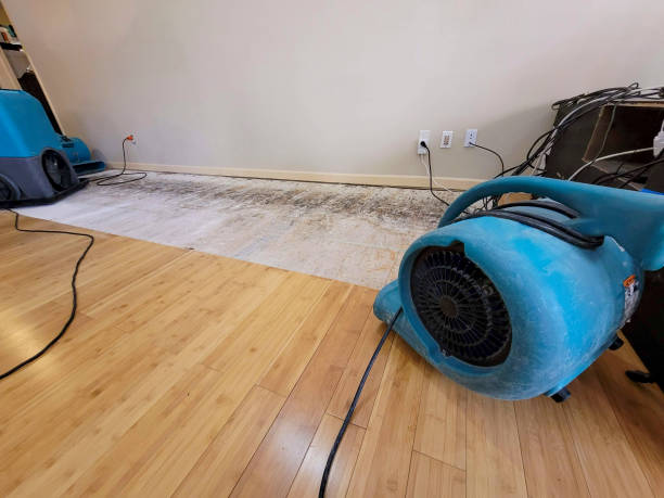 Professional Burst Pipe Water Damage technician working in Bellevue, WA